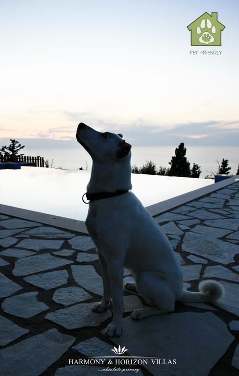 Harmony&Horizon villas Atháni Kültér fotó